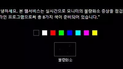 실시간으로 모니터의 불량화소 증상을 점검하는 온라인 프로그램