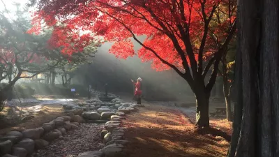 인천대공원 빛내림