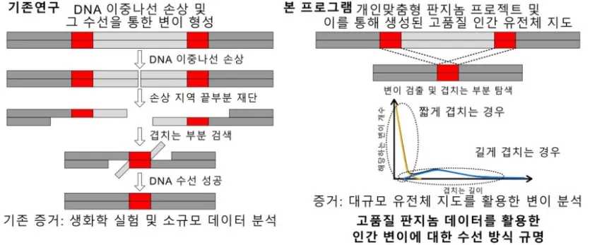 연구 설명도[충남대 제공. 재판매 및 DB 금지]