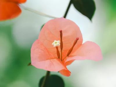 오늘 수목원에 마실 갔다왔어요