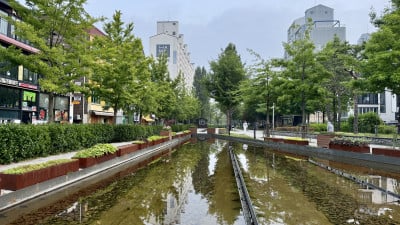 연남동 철길공원의 새벽 산책길