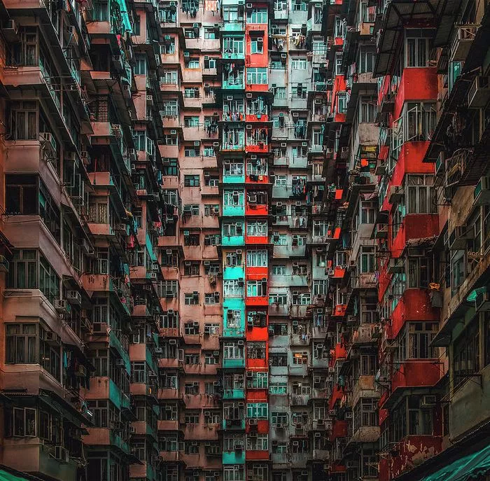 77b76-661e2fa85327d-c1ffd8af2b175469725c71e0799c4c5e777d0e02.jpg