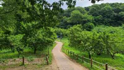 중랑숲 캠핑장