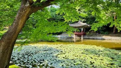 신록