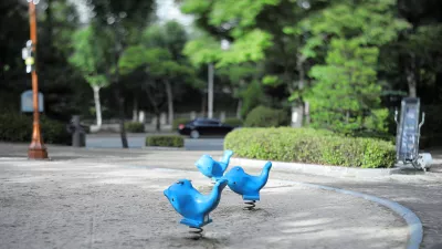 외로운 돌고래들