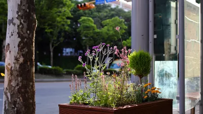 볕 좋은 날