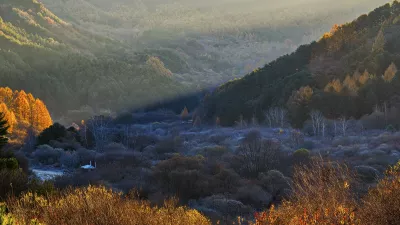 비밀의 정원..