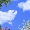 no_profile