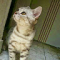 no_profile