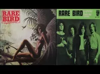 simpathy - Rare Bird