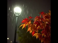 Autumn Rain