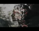 비내리네요~