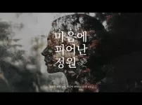 비내리네요~